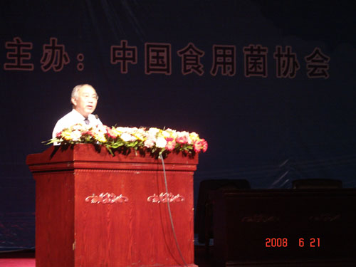 博天堂918