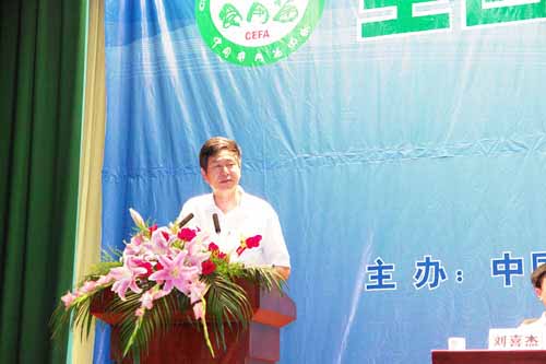 博天堂918